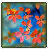 Nature Live Wallpaper 4.1.0