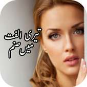 Teri Ulfat Main sanam Novel logo
