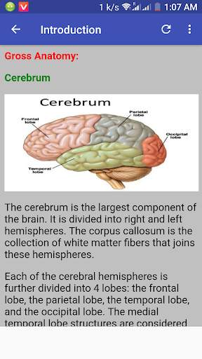 Neurology Guide screenshot 3
