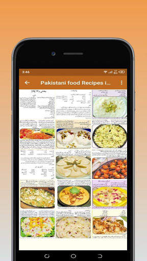 Pakistani Food Recipes in Urdu screenshot 2
