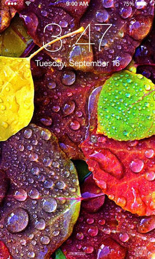 Water Drops Wallpaper screenshot 4