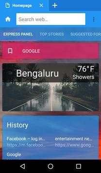 Flash browser screenshot 1