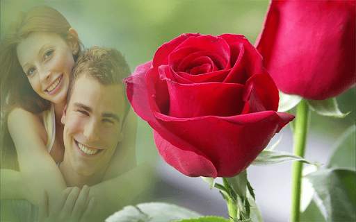 Roses Photo Frames screenshot 4