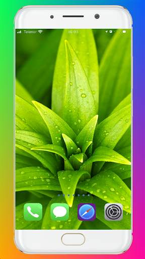 Beautiful Wallpaper HD screenshot 5