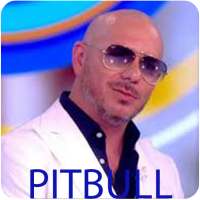 Pitbull Mp3 Musics offline icon