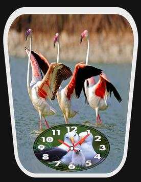 Bird clock live wallpaper screenshot 3