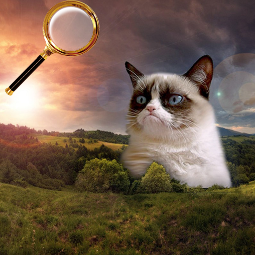 Find the Cat icon
