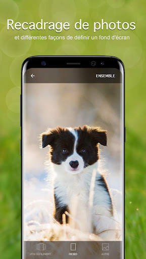 Chiots Fonds d'écran 4K screenshot 3