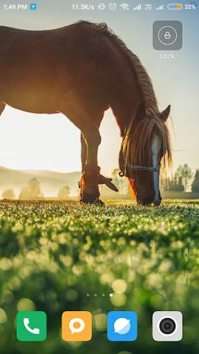Horse Wallpaper HD screenshot 13