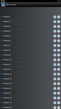 Pelican Bird Sounds Ringtones screenshot 1