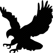 Eagle VPN - Unlimited Speed icon