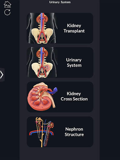 My Urinary System screenshot 2