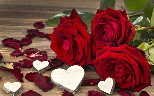Red Rose Wallpaper screenshot 1