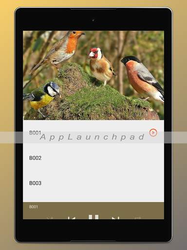 Bird Songs Ringtones screenshot 18