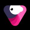 Velomingo- Velocity Edit Maker icon