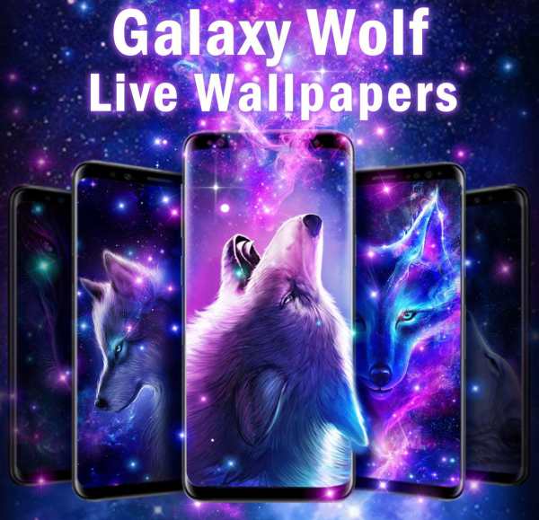 Galaxy Wolf Theme screenshot 6