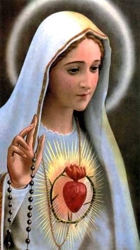 Virgin Mary Wallpaper screenshot 3