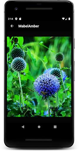 New Images Downloader screenshot 6