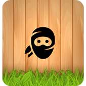 Ninja Warrior