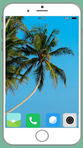 Palm Tree Full HD Wallpaper screenshot 2