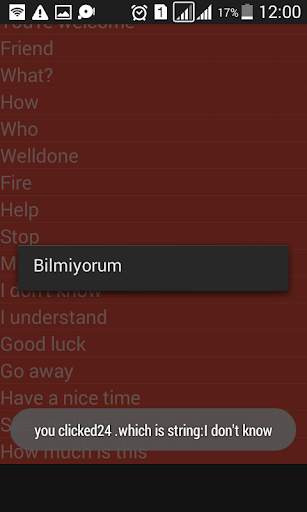 Speak Turkish Free screenshot 4