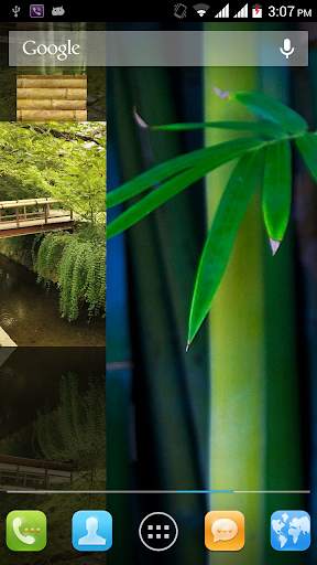 Bamboo live Wallpapers screenshot 6
