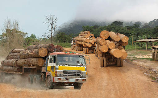 Long Truck Driving Simulator screenshot 2