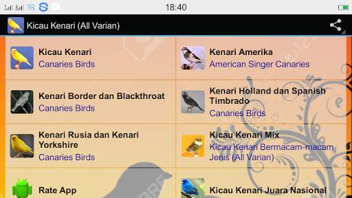 Canaries Birdsong All Varian screenshot 4