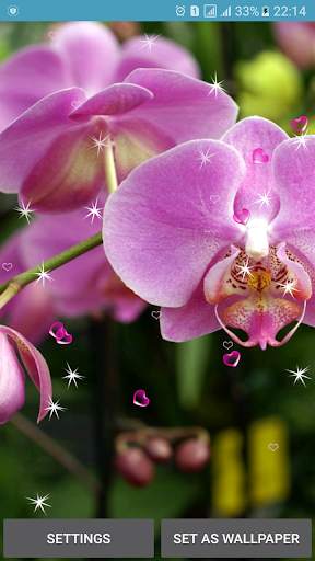 Orchid Live Wallpapers screenshot 2