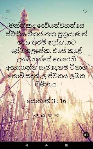 Daily Promise from God screenshot 10