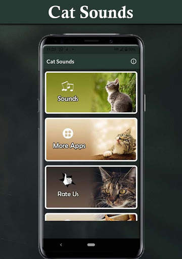 Cat Sounds - Ringtone,Alarm & Notification Sound screenshot 1
