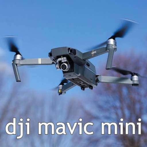 Dji mavic mini 6