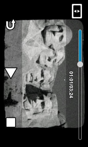 Videocam illusion screenshot 4