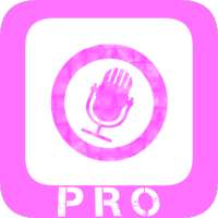 Song: writer lyrics-PRO logo