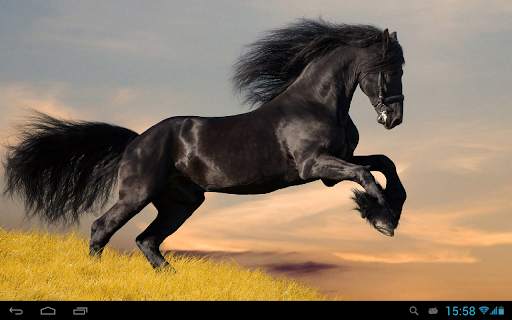 Horses Live Wallpaper screenshot 6