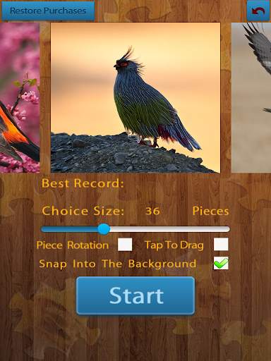 Birds Jigsaw Puzzles Game screenshot 7