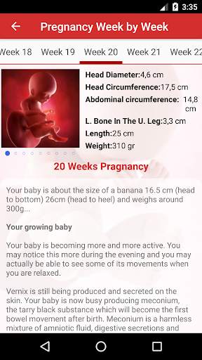 Pregnancy Day by Day 4 تصوير الشاشة