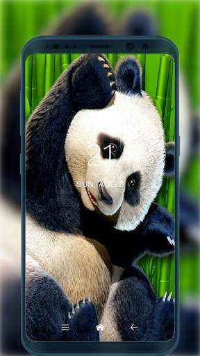 Cute Panda Wallpapers HD for Android screenshot 1