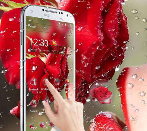 Waterdrop， Flower，Pink Theme & Wallpaper screenshot 4