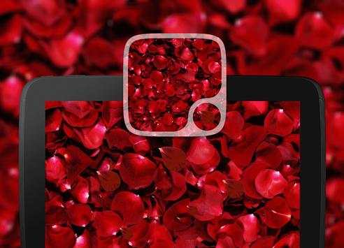 Red rose Petals Wallpaper screenshot 7