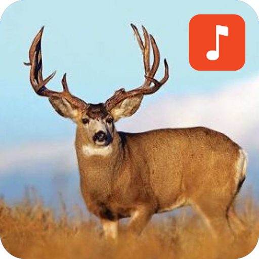 Deer Sound Effects icon