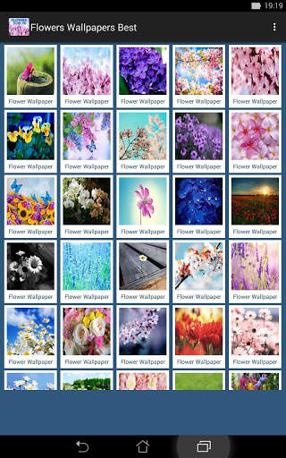 Flower Wallpapers screenshot 9