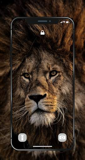 🐯 Lion Wallpapers - Angry 4K | HD Lion Pictures ❤ screenshot 4