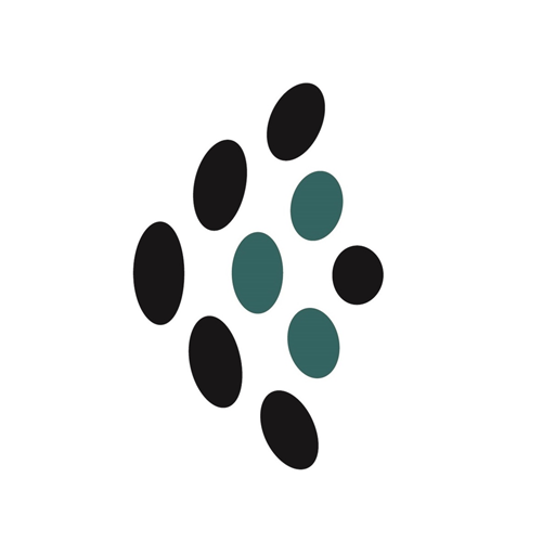 ZH-Security icon