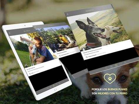 Dog Vivant - Planes con perros screenshot 11