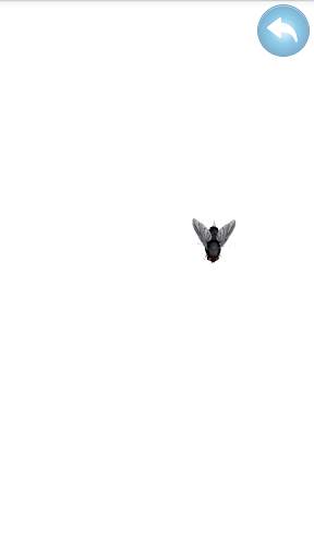 Fly on the screen - a game for the cat screenshot 5