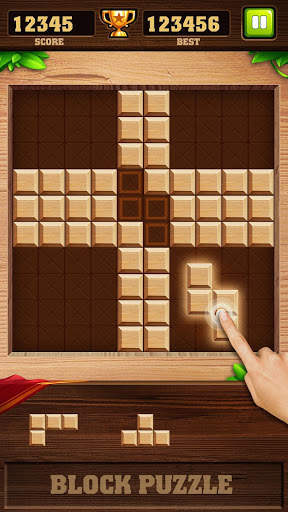Block Puzzle Game - Brick Game screenshot 12