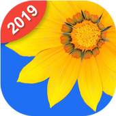 Photo Gallery & Album 1.131.01