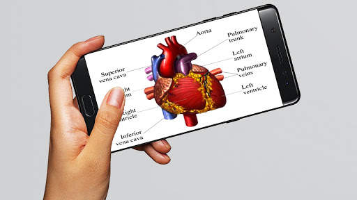 Human Anatomy And Physiology screenshot 3