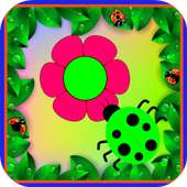 Bubble Bug Mania